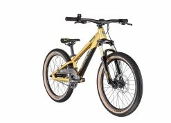 Norco Bicycles Rampage 2 20" B&oslash;rn, Guld