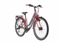 S'COOL S'cool ChiX Twin Alloy 24 21-S B&oslash;rn, Gr&aring;/pink